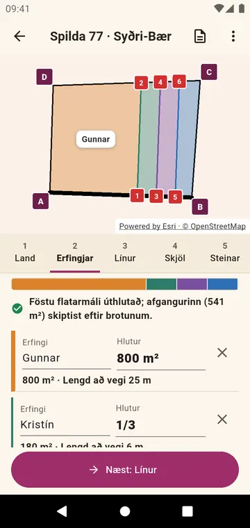 Erfingjarnir og hlutir þeirra, í brotum eða flatarmáli